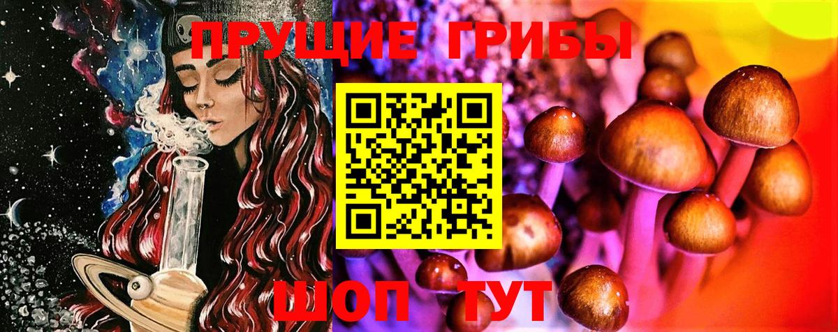 Семёнов  Галлюциногенные грибы MAGIC MUSHROOMS  Вход с VPN 