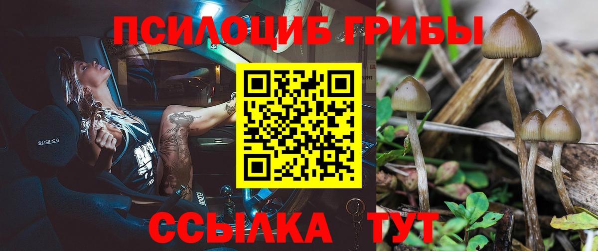 Галлюциногенные грибы Psilocybine cubensis Семёнов